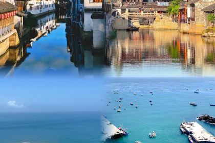 Xiexi Street Shaomai Shop