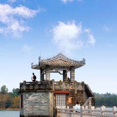 GOLD HOMELAND User Photo