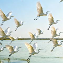 渔味堂南湾鱼三吃(湖东店) User Photo