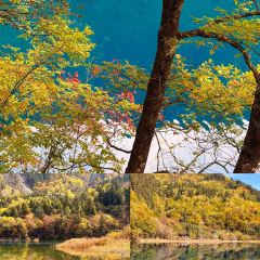 卡万金特色藏餐 User Photo