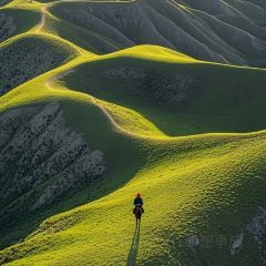 特色羊排揪片子清真張用戶圖片