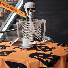 The China Harvest 여행 사진