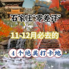 无极饸饹·饸饹张(第一分店) 여행 사진