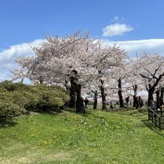 Menchuubo Ajisai Main Branch User Photo