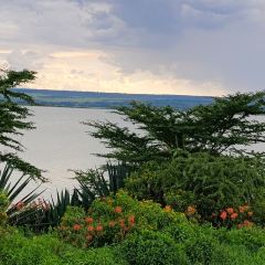 Seasons Elementaita Country Lodge User Photo
