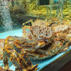 紫陽海鮮樓·福州菜（金洲南路店）張用戶圖片