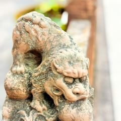 紀鍋盔張用戶圖片
