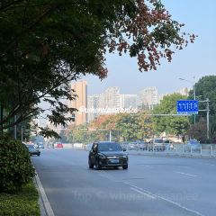 广州酒家(马栏山店) User Photo
