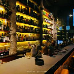 Vault Bar User Photo