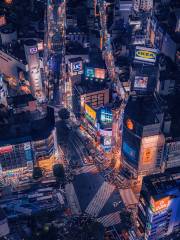 Shibuya Scramble Crossing