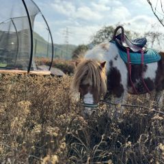 Yun Shang Ren Jia·Exquisite Farm-to-Table Cuisine User Photo