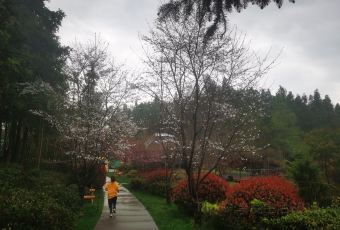 齐云山度假酒店· 祥瑞轩餐厅 User Photo