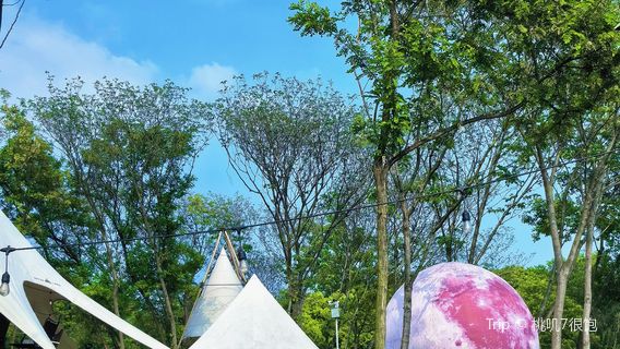 Ocean View CAMP Luxury Camping Base