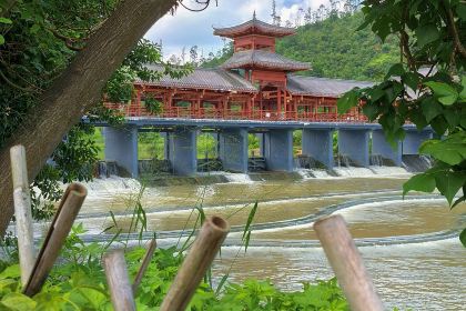 将军陂美食山庄·瓦缸炭烧鸡