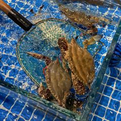 MU MU XIAN User Photo