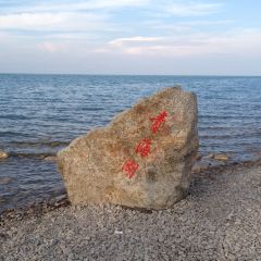 青海湖藏趣部落民宿·特色餐厅 User Photo