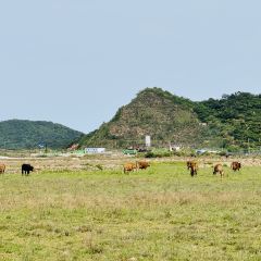 红岩多多 User Photo