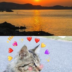 LANG COFFEE User Photo