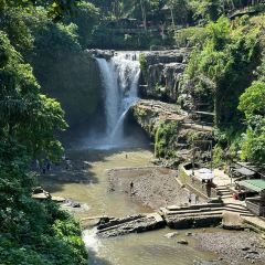 Omma Dayclub Bali User Photo