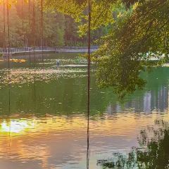 CANAL LUNA User Photo