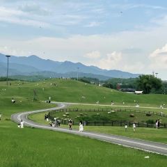 隔壁飯店張用戶圖片