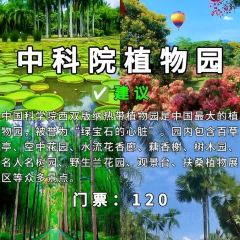 mamalao老撾烤肉糯米飯張用戶圖片
