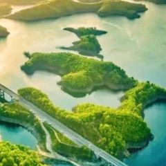 丹水桥·地锅鱼(丹江口店) User Photo
