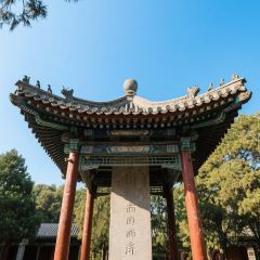 LAO DI FANG User Photo