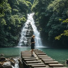 崖口煲仔饭 User Photo