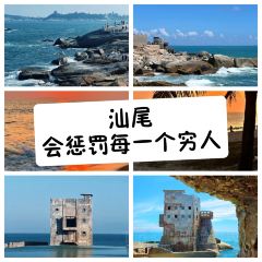 TIANCHENG NEST,SHARK-FINE&ABALONE User Photo