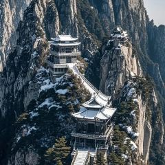 肖家饸饹面总店(郑州总店) User Photo