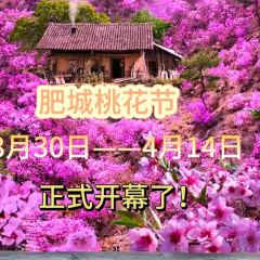 偏愛炒雞店(淘你歡店)張用戶圖片