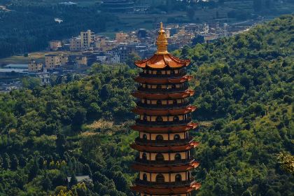 蒙自飞达糕点厂