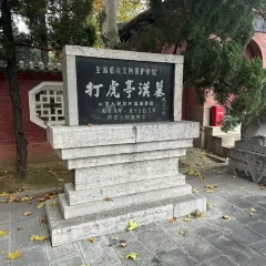 ZHENG XI WANG User Photo