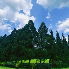 Cypress Lanes張用戶圖片