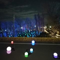 SACULA DINER張用戶圖片