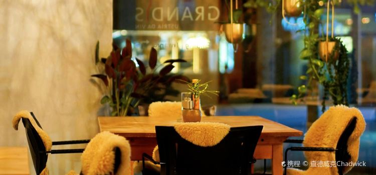 Ristorante Camino
