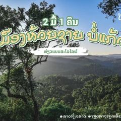 Daauw Home ảnh của người dùng
