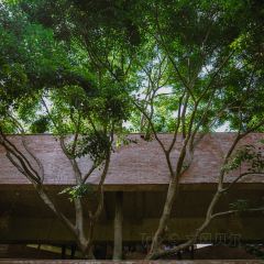 爸爸的房子民宿餐厅 User Photo