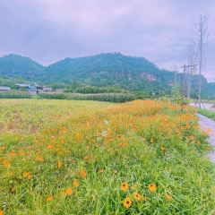 点将台庄园火锅 User Photo