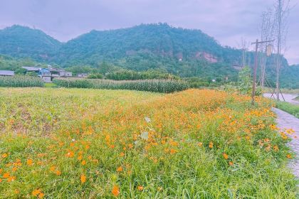 点将台庄园火锅