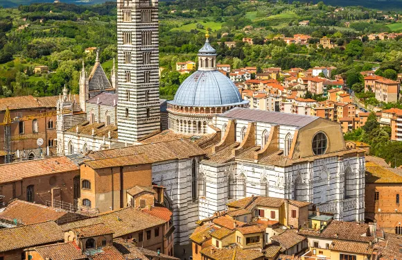 il pomodorino