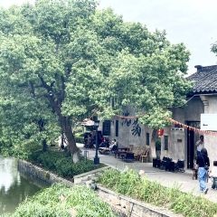 Wufangzhai (shendang) User Photo