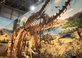 中國西峽恐龍館