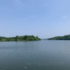 桂庭院农家乐 User Photo