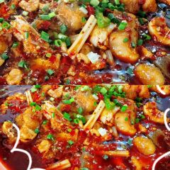 永久王鲶鱼(广成线店) User Photo