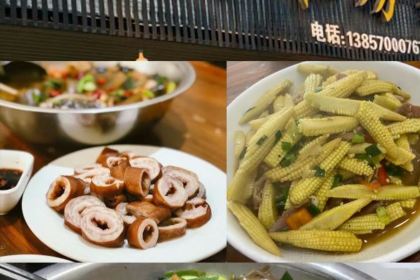 城北刀削面馆(华达·阳光新城店)