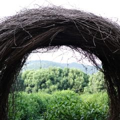 旺山遇见卢浮宫 User Photo