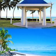 Ohas cafe (Kensington) User Photo