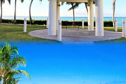 Ohas cafe (Kensington)